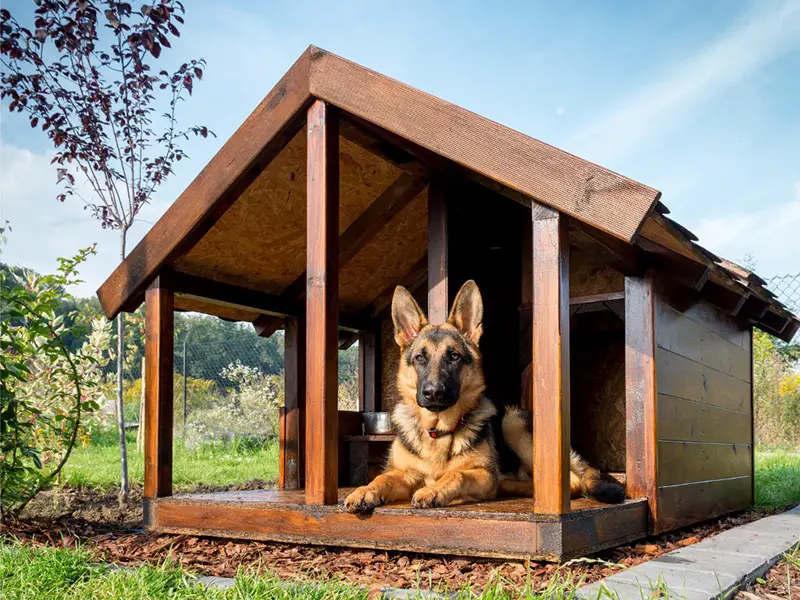 German Shepherd Dog House Shelter