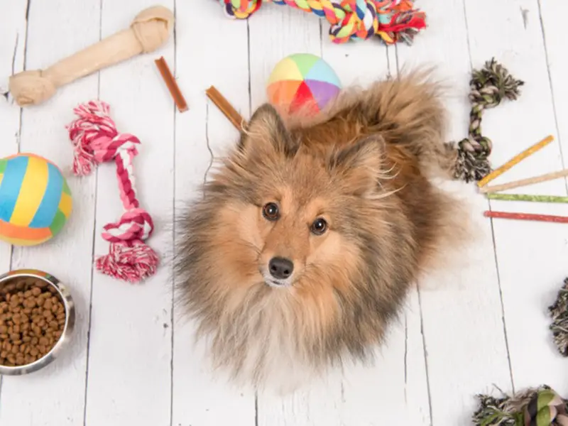 Shetland Sheepdog Toys and Puzzles